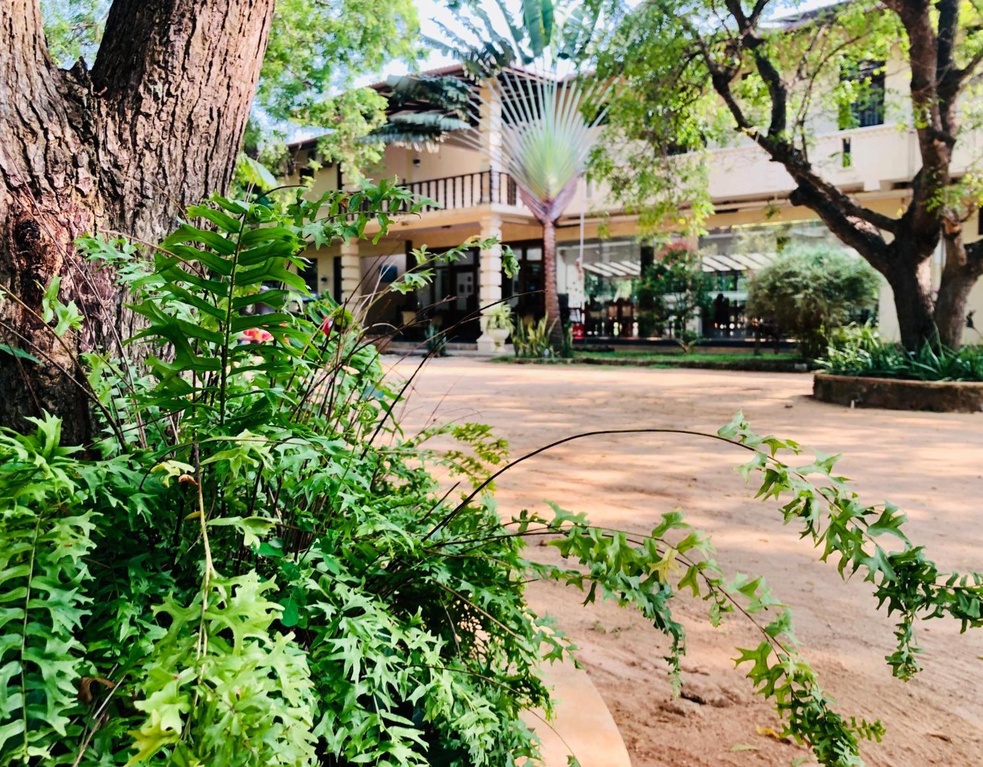 טיסמהרמה Saman Resort Yala מראה חיצוני תמונה