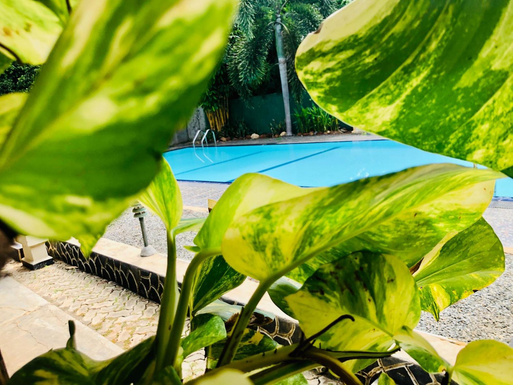 טיסמהרמה Saman Resort Yala מראה חיצוני תמונה