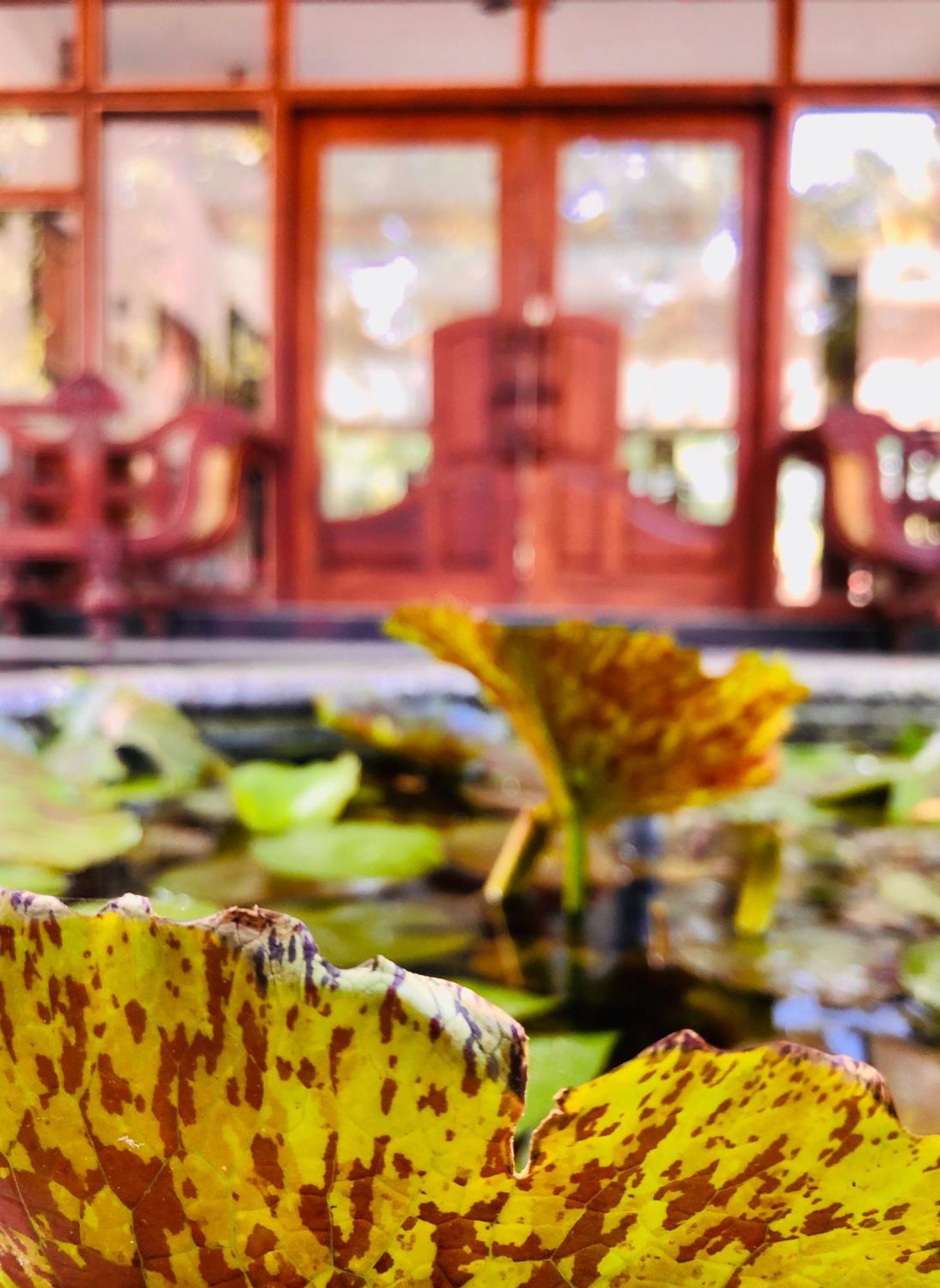 טיסמהרמה Saman Resort Yala מראה חיצוני תמונה