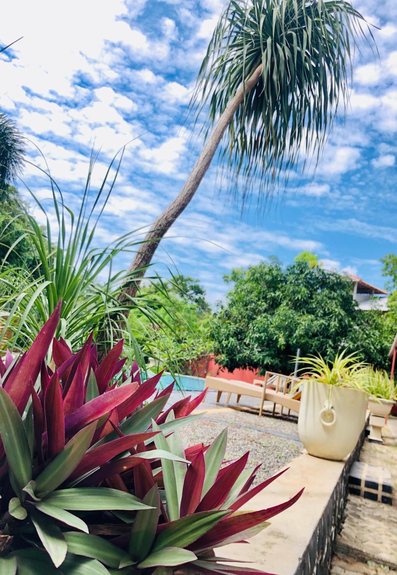 טיסמהרמה Saman Resort Yala מראה חיצוני תמונה