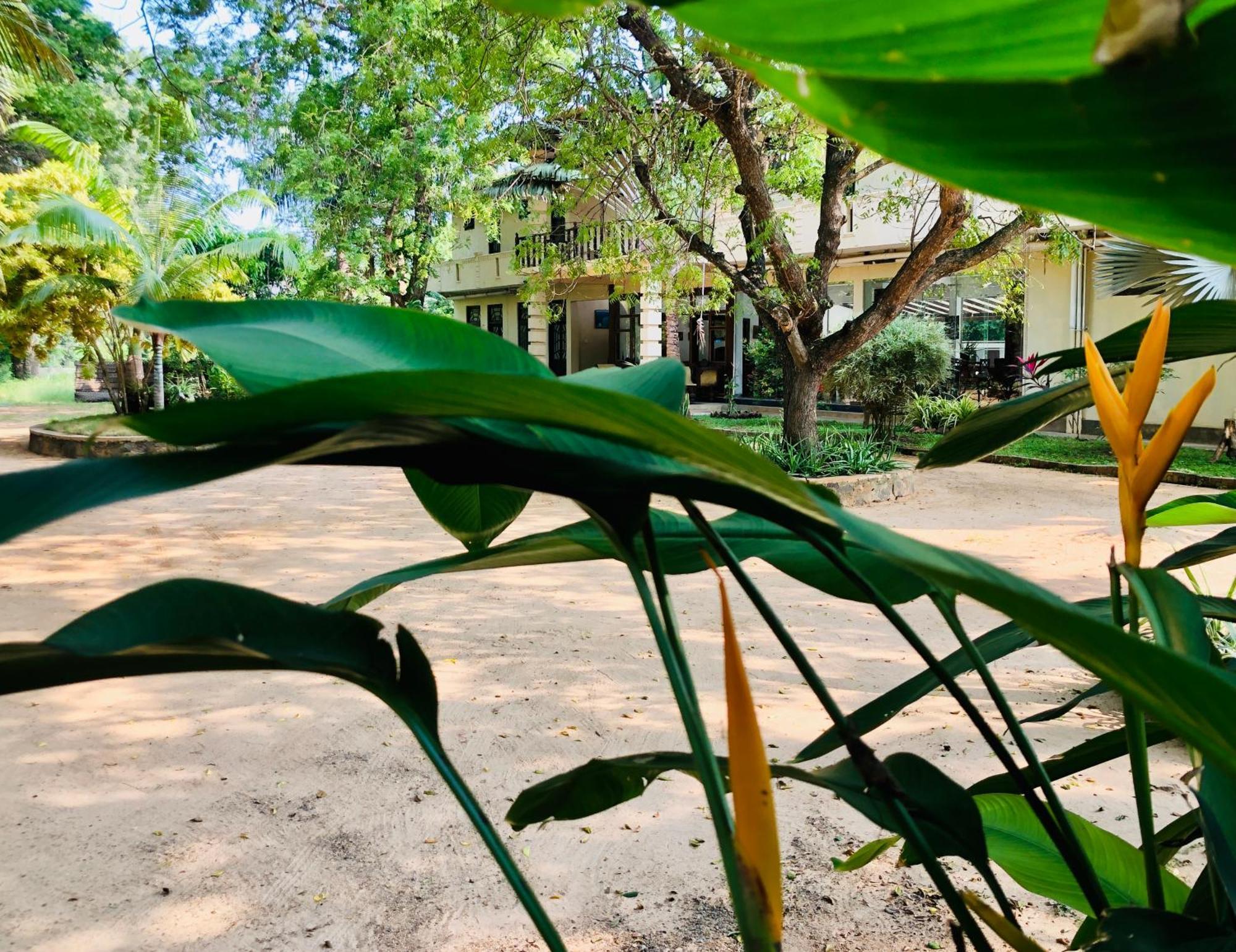 טיסמהרמה Saman Resort Yala מראה חיצוני תמונה