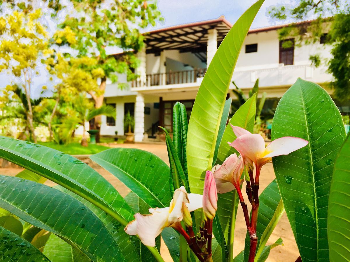 טיסמהרמה Saman Resort Yala מראה חיצוני תמונה